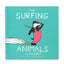 The Surfing Animals Alphabet by Jonas Claesson