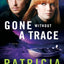 Gone without a Trace: A Novel
