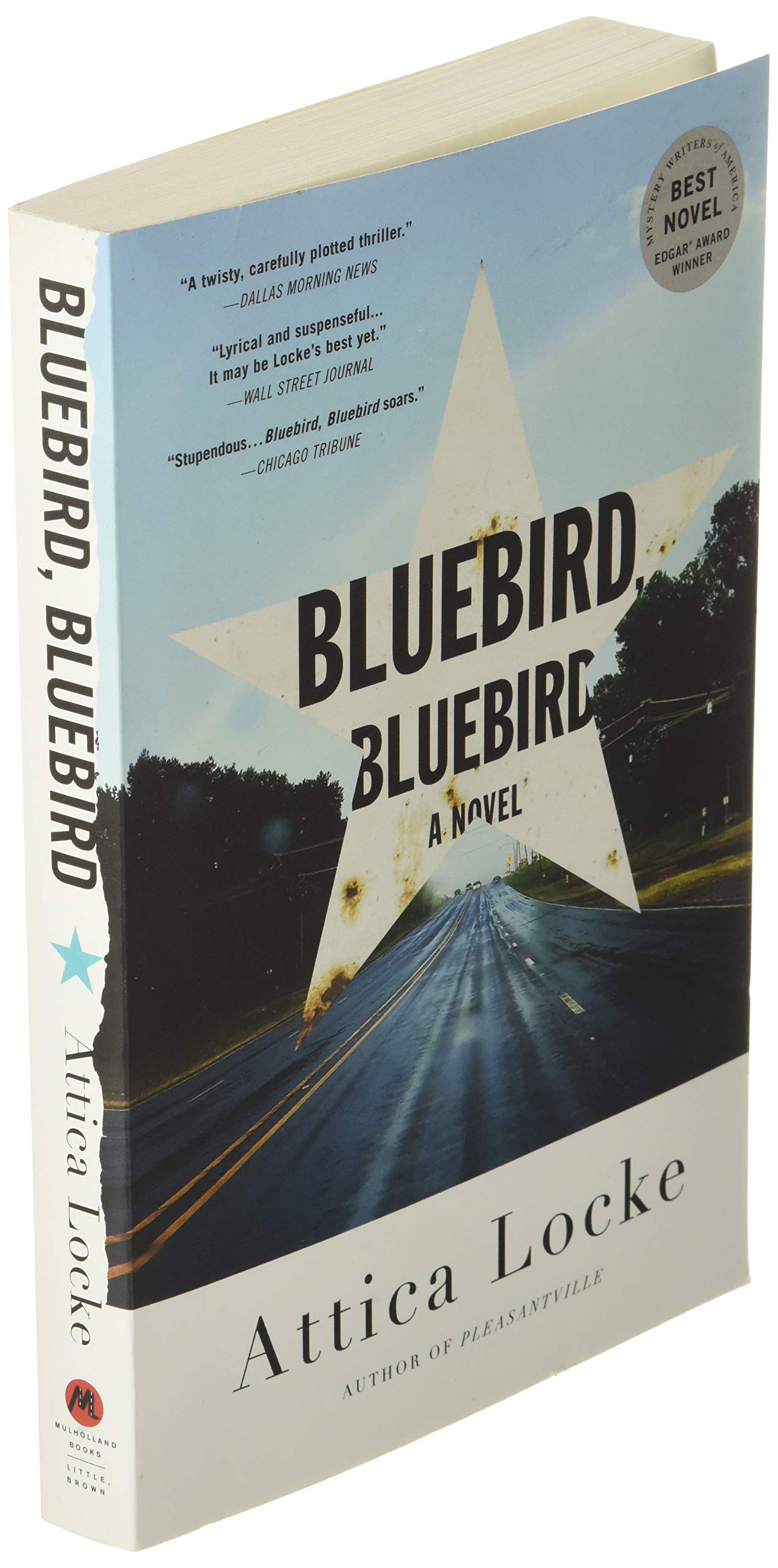 Bluebird, Bluebird (A Highway 59 Novel, 1)