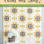 Checks Mix Quilts: Get the Gingham Look You Love with 8 Easy-to-Piece Patterns