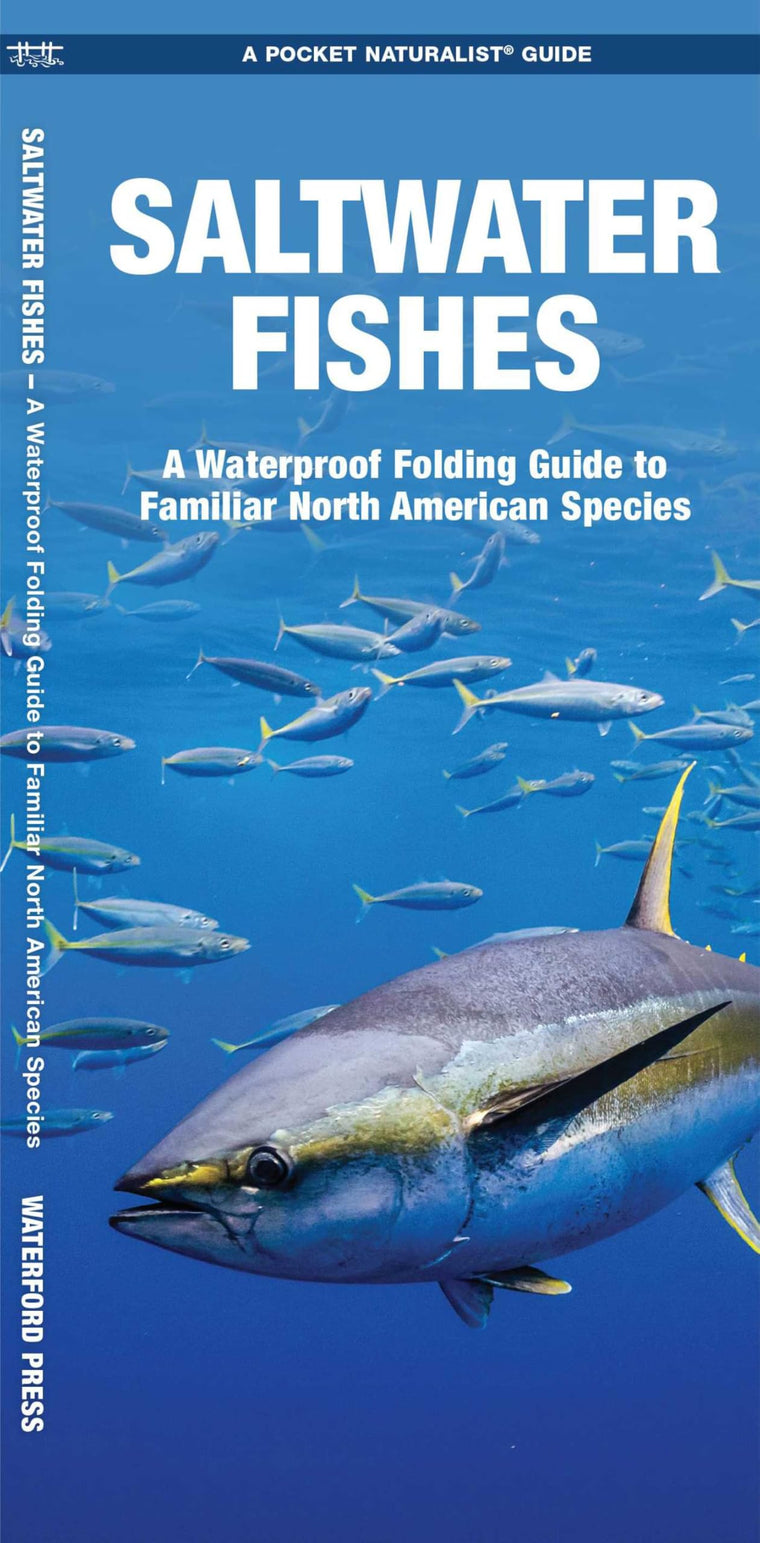 Saltwater Fishes, 2nd Ed: A Folding Pocket Guide to Familiar North American Species (Nature Observation North America)
