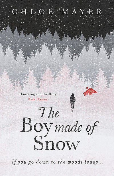 The Boy Made of Snow