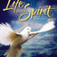 KJV Life in the Spirit Study Bible