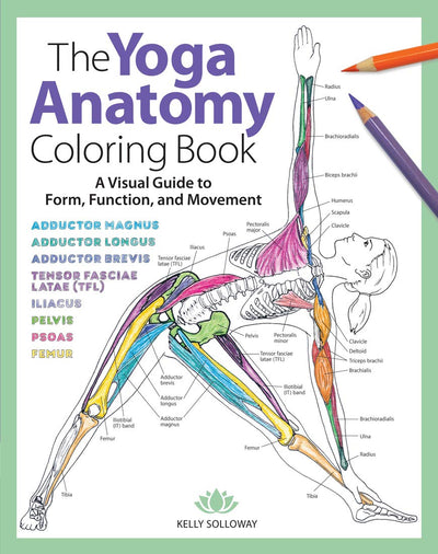 Yoga Anatomy Coloring Book: A Visual Guide to Form, Function, and Movement - An Educational Anatomy Coloring Book for Medical Students, Yoga Enthusiasts, Teachers & Adults (Volume 1)