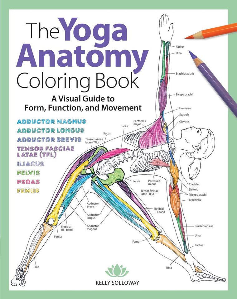 Yoga Anatomy Coloring Book: A Visual Guide to Form, Function, and Movement - An Educational Anatomy Coloring Book for Medical Students, Yoga Enthusiasts, Teachers & Adults (Volume 1)