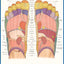 Reflexology QuickStudy Laminated Reference Guide (QuickStudy Academic)