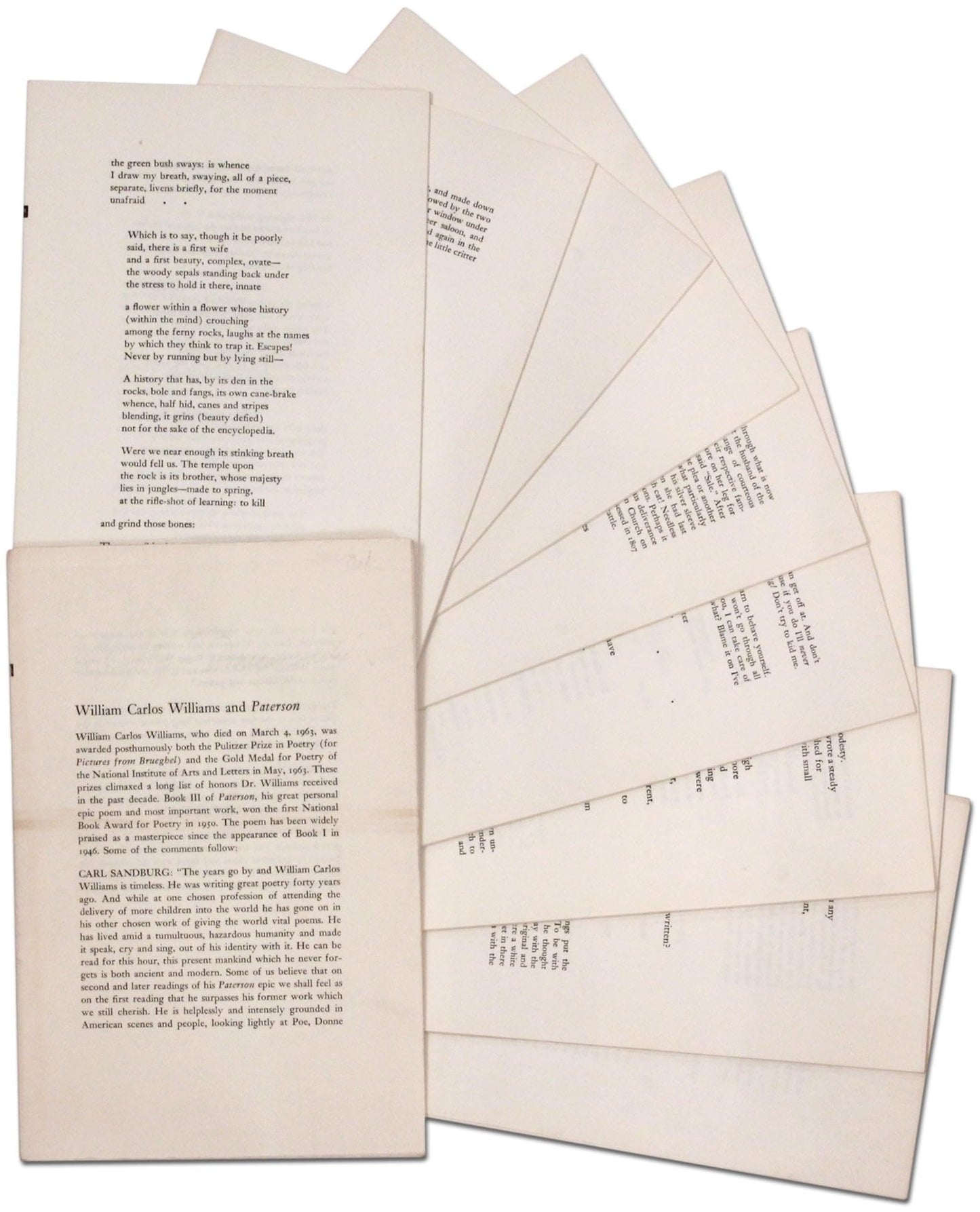 Paterson by William Carlos Williams