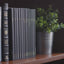 ESV Scripture Journal: New Testament Set
