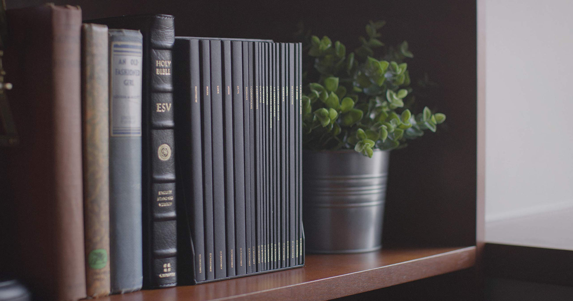 ESV Scripture Journal: New Testament Set