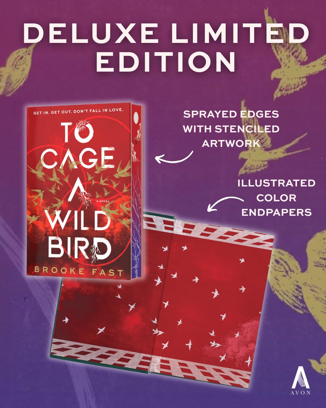 To Cage a Wild Bird (Deluxe Limited Edition): A Dystopian Prison Romance Where Love Becomes a Weapon and Trust Means Survival (Divided Fates, 1)