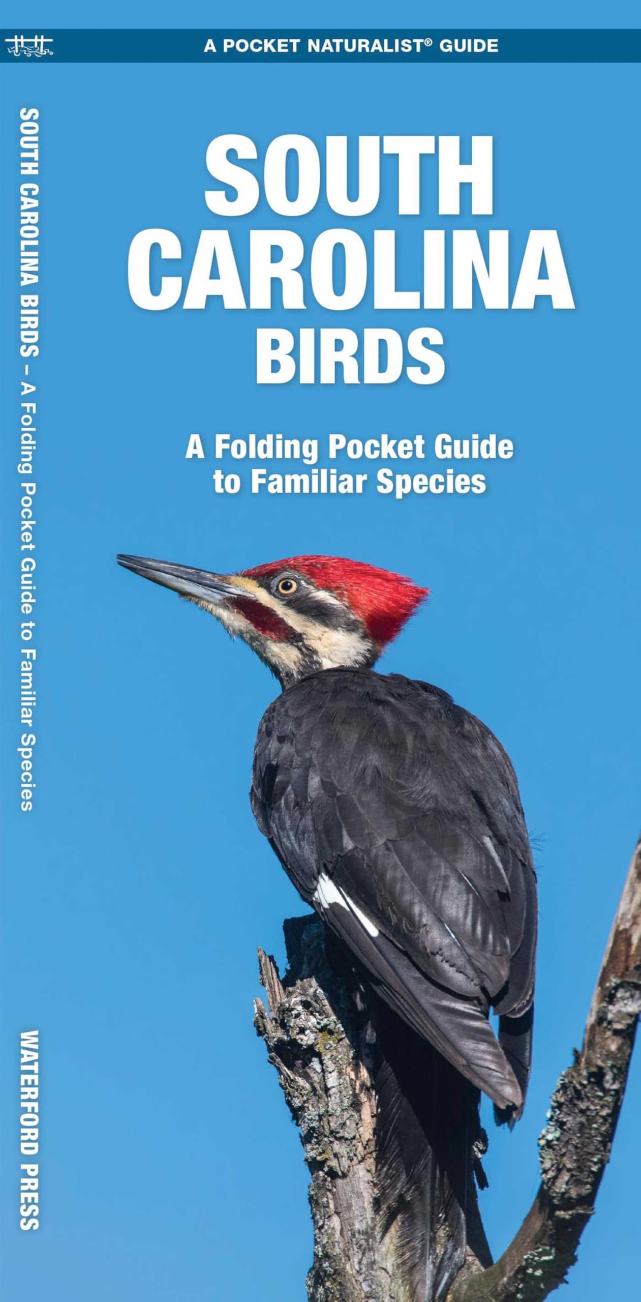 South Carolina Birds: A Folding Pocket Guide to Familiar Species (Nature Observation North America)