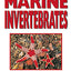 A PocketExpert Guide to Marine Invertebrates: 500+ Essential-to-Know Aquarium Species