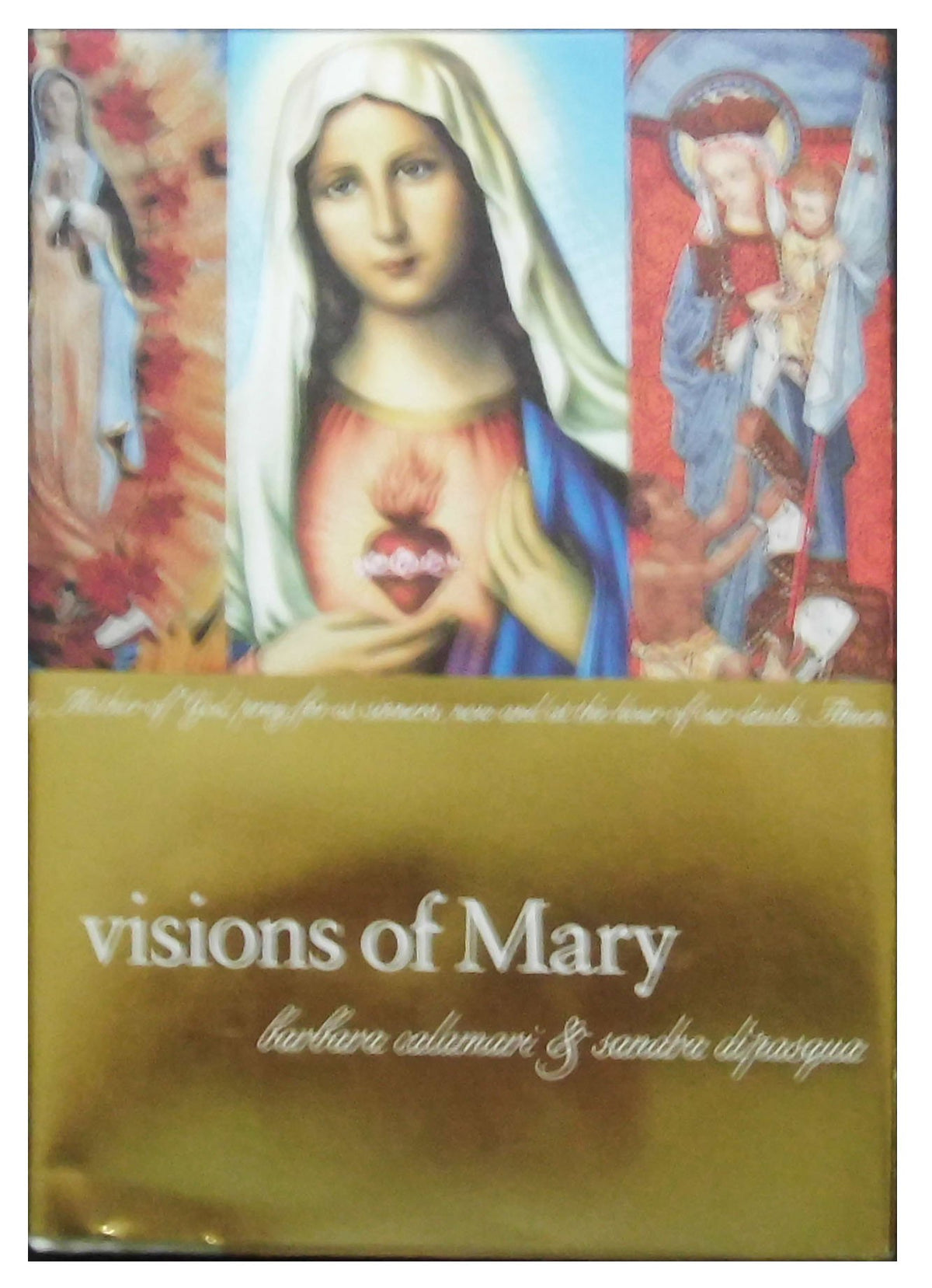 Visions of Mary