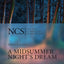 A Midsummer Night's Dream (The New Cambridge Shakespeare)