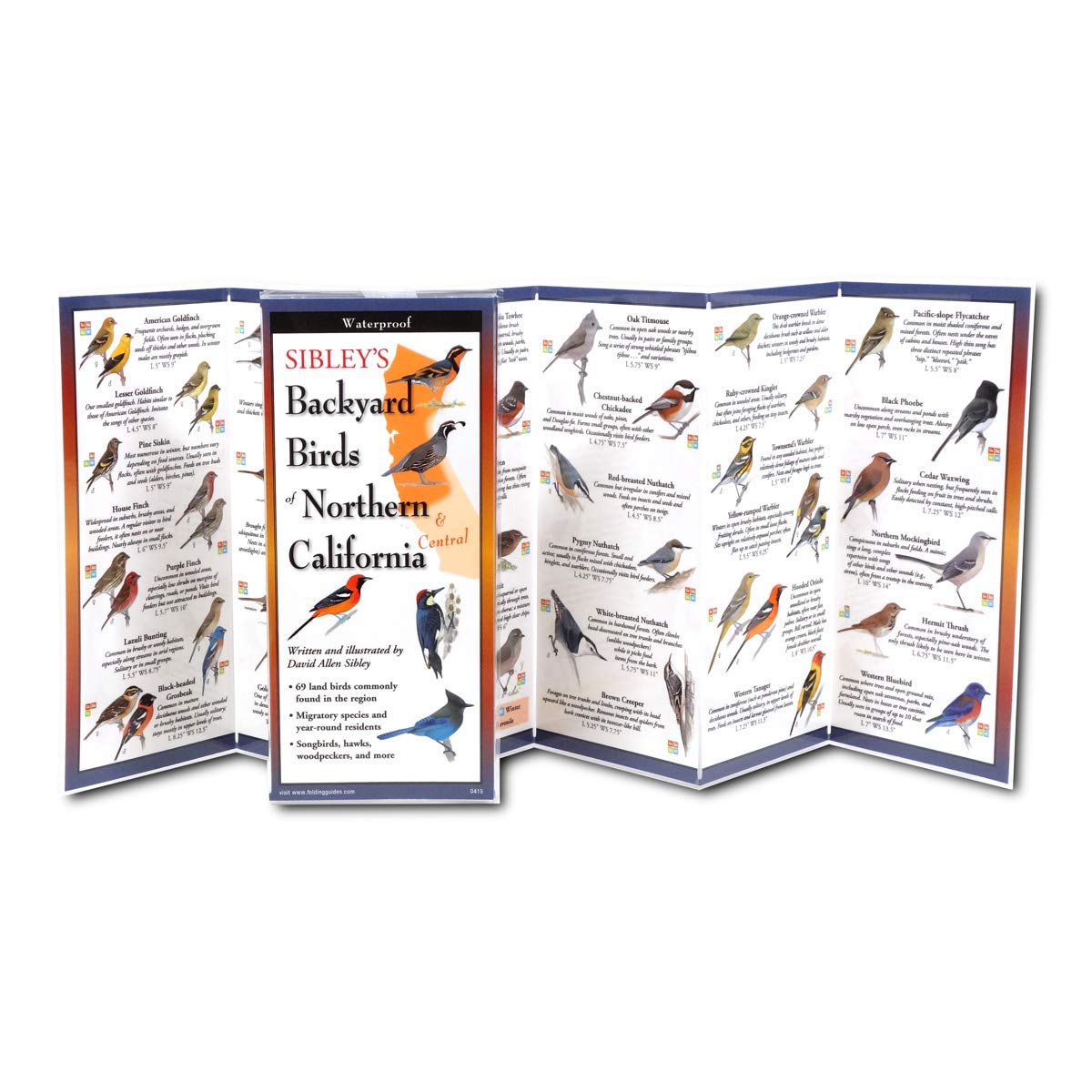 Earth Sky + Water FoldingGuide? - Sibley?s Backyard Birds of Northern & Central California - 10 Panel Foldable Laminated Nature Identification Guide