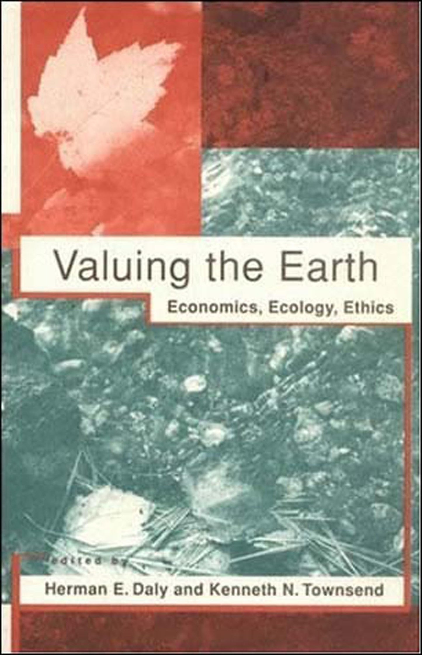 Valuing the Earth: Economics, Ecology, Ethics by Daly, Herma