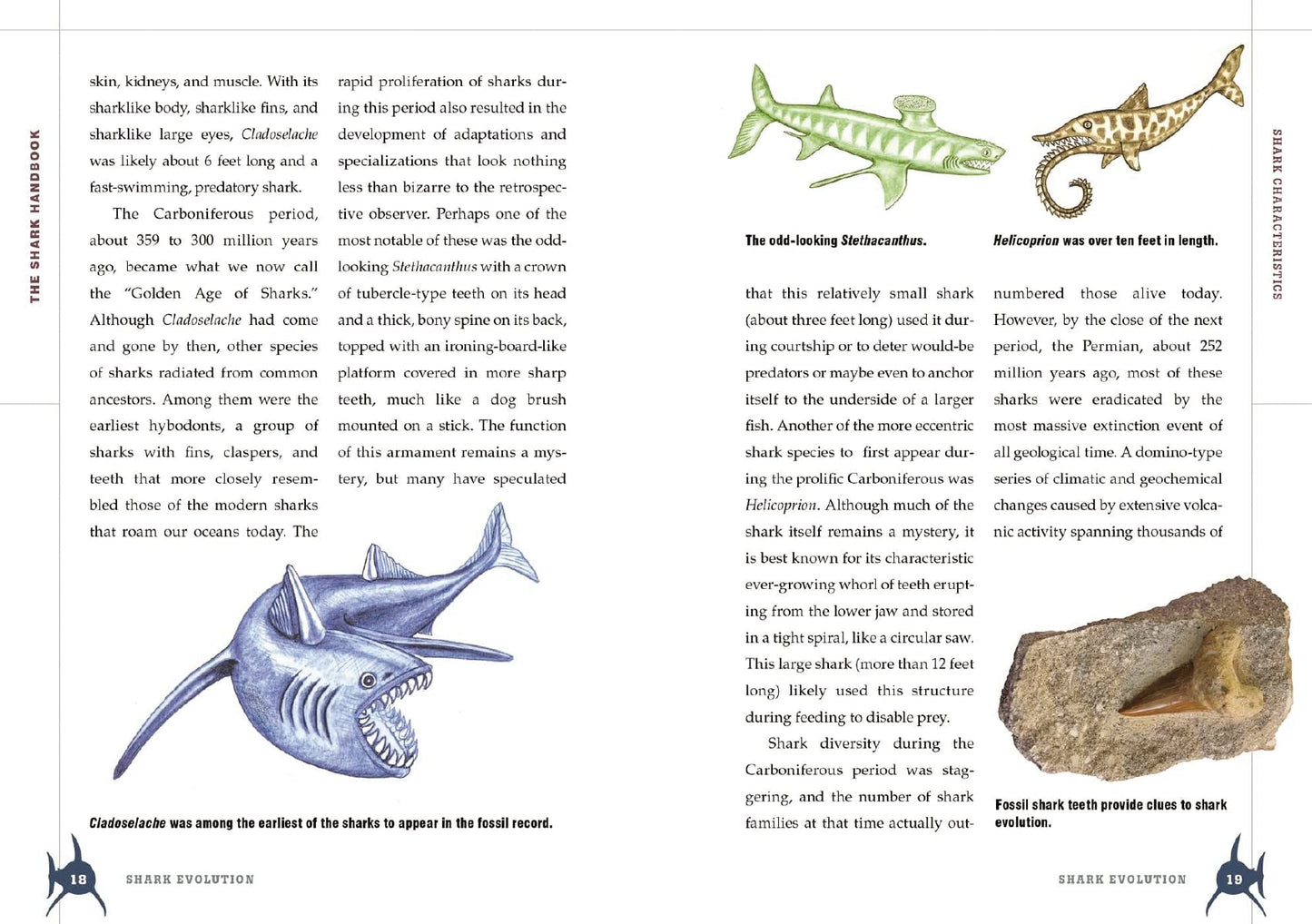 The Shark Handbook: Second Edition: The Essential Guide for Understanding the Sharks of the World