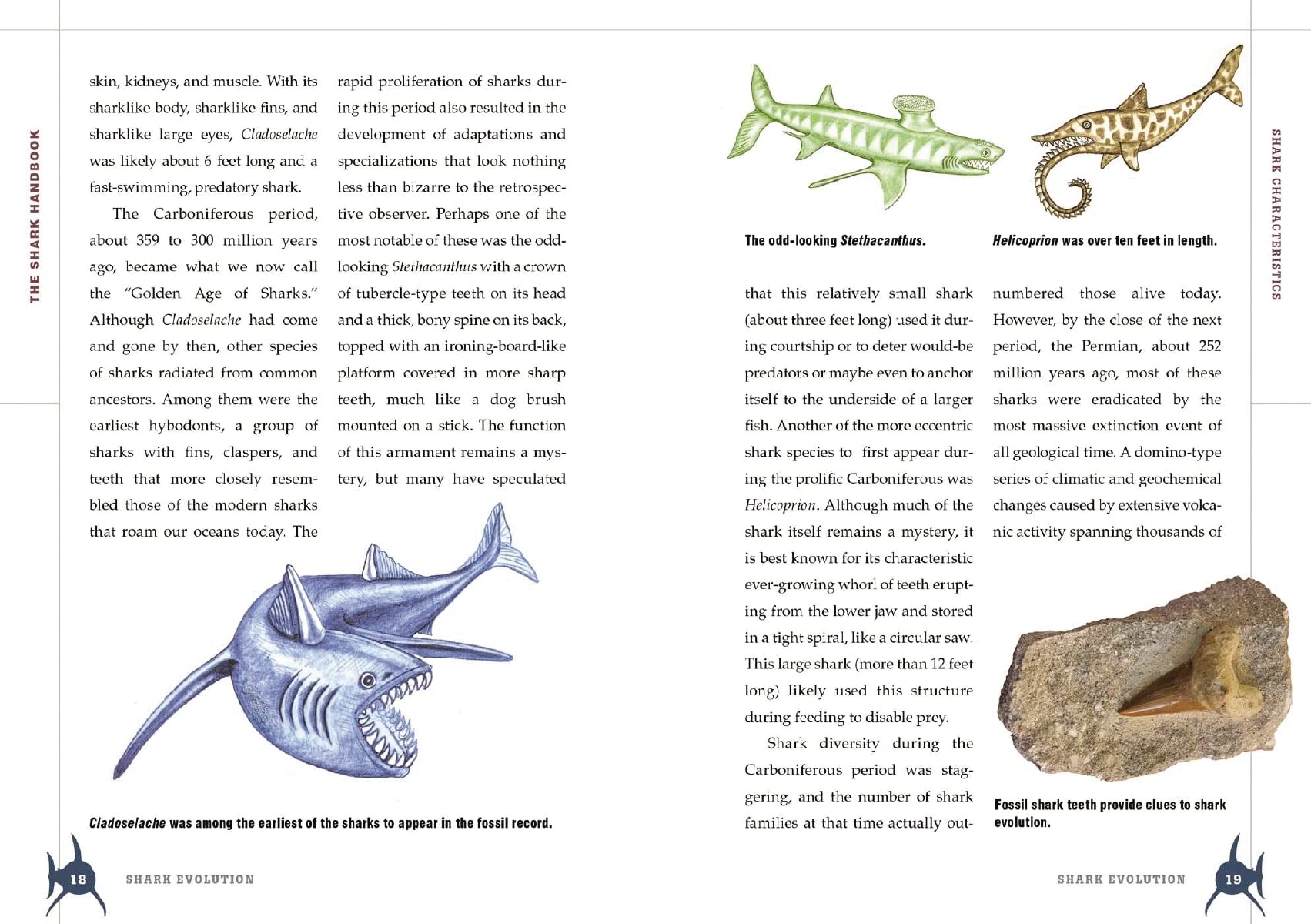 The Shark Handbook: Second Edition: The Essential Guide for Understanding the Sharks of the World