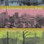 The Environment and the People in American Cities, 1600s-1900s: Disorder, Inequality, and Social Change