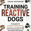 Training Reactive Dogs: Strategies for Positive Reinforcement, Confidence-Building, and Enhancing Quality of Life for Canine and Owner