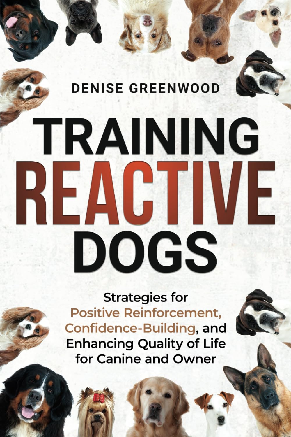 Training Reactive Dogs: Strategies for Positive Reinforcement, Confidence-Building, and Enhancing Quality of Life for Canine and Owner