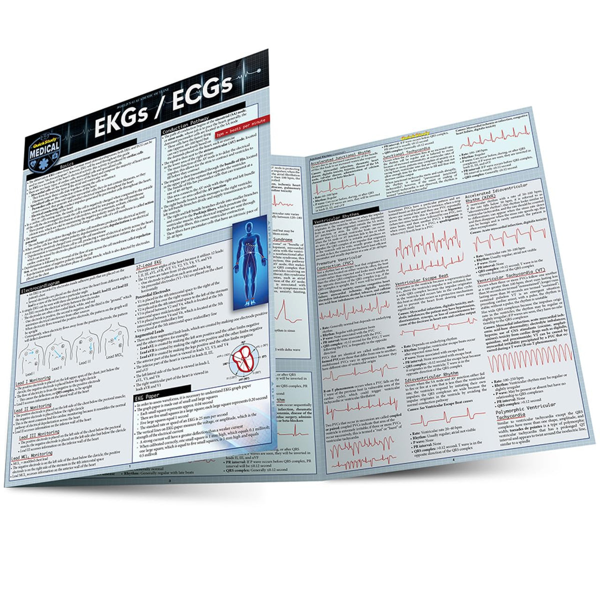 EKGs / ECGs: a QuickStudy Laminated Reference Guide