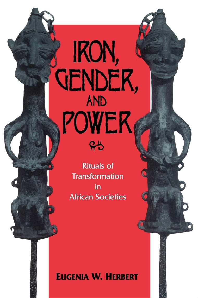 Iron, Gender, and Power: Rituals of Transformation in African Societies (African Systems of Thought)