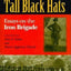 GIANTS IN THEIR TALL BLACK HATS: Essays on the Iron Brigade (Great Lakes Connections: The Civil War)