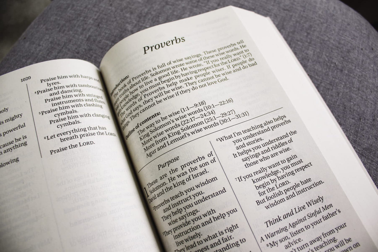 NIrV Outreach Large Print Bible for Kids Paperback by Zond