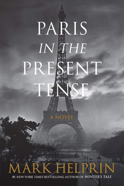 Paris in the Present Tense: Aging cellist in contemporary Paris reflects on regret, music, and fleeting chances at love.