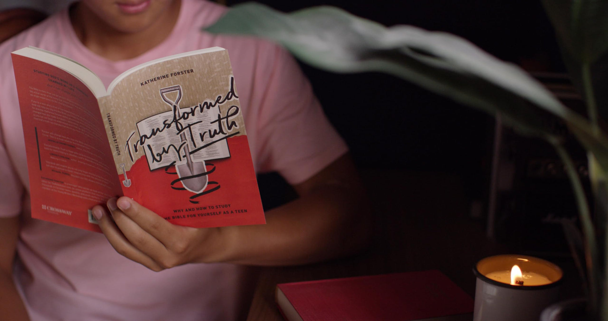Transformed by Truth: Why and How to Study the Bible for Yourself as a Teen