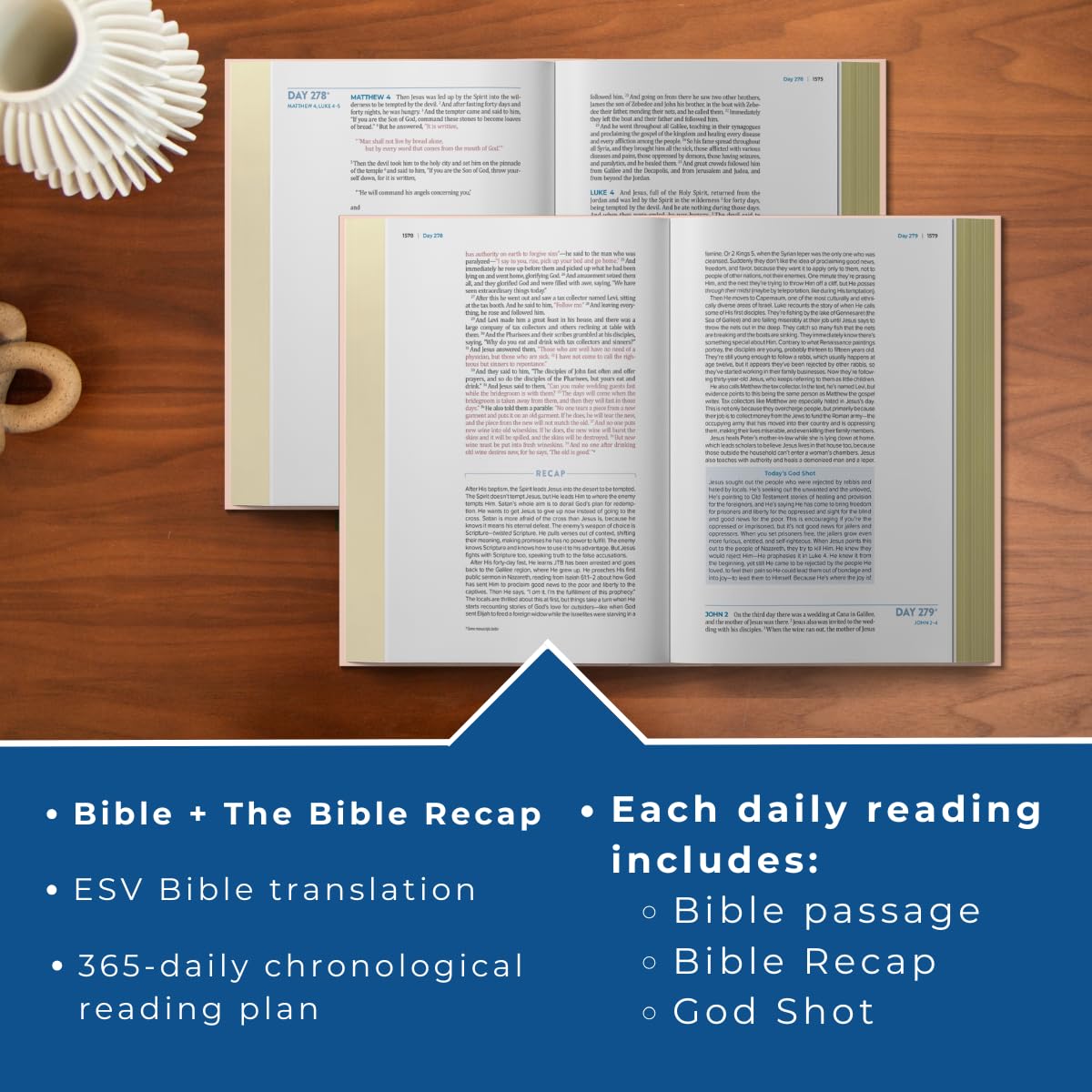 The Bible Recap 365-Day Chronological Study Bible: ESV Study Bible, a Chronological, One Year Reading Plan, with Single-Column Text