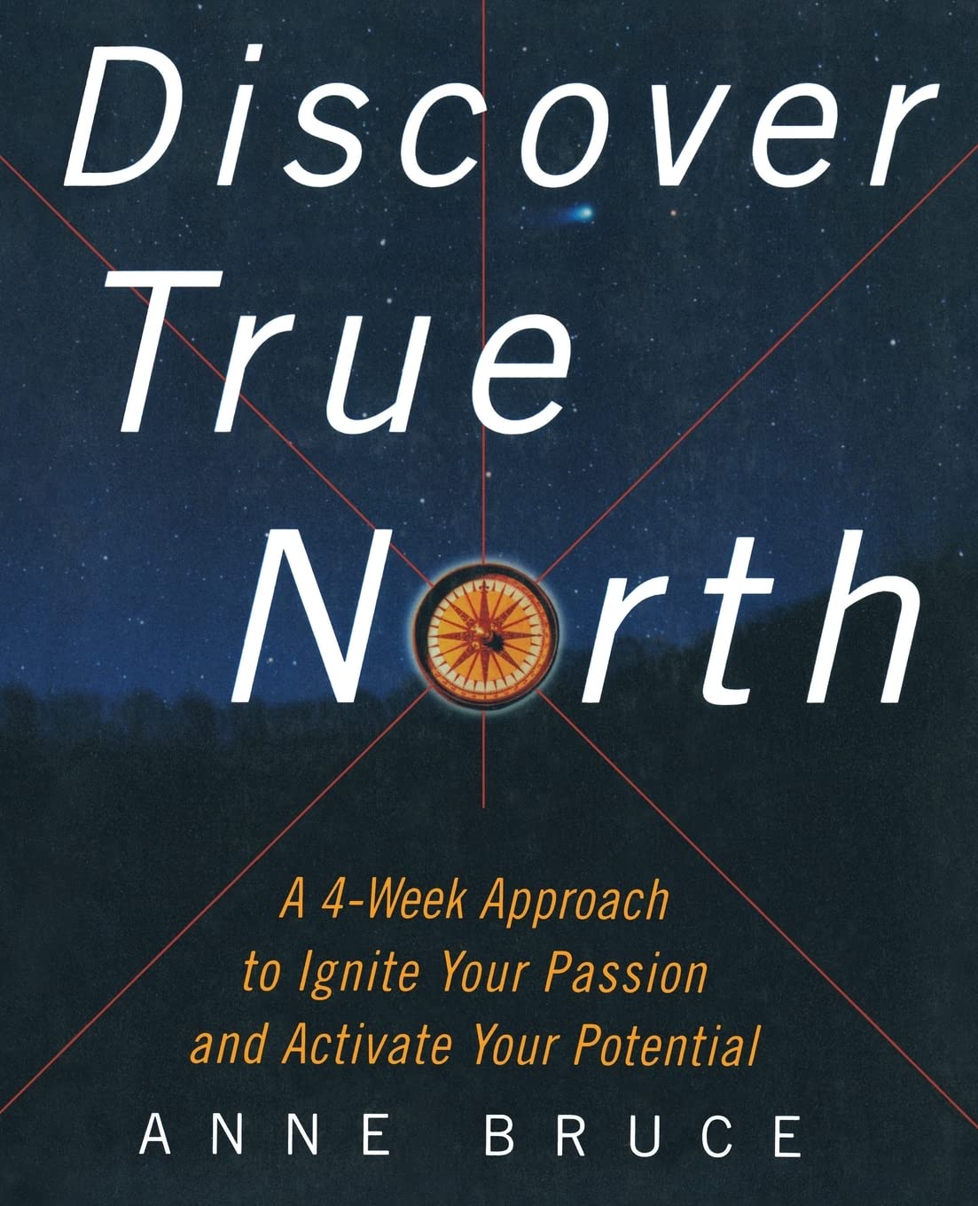 Discover True North : A Program to Ignite Your Passion and Activate Your Potential