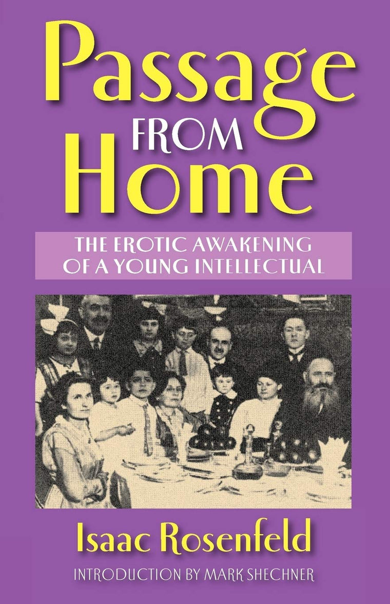 Passage From Home (Masterworks of Modern Jewish Writing Series)