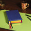 NIV, The Grace and Truth Study Bible (Trustworthy and Practical Insights), Premium Goatskin Leather, Blue, Premier Collection, Black Letter, Art Gilded Edges, Comfort Print