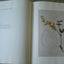 DRAWN FROM NATURE: The Botanical Art of Joseph Prestele and His Sons