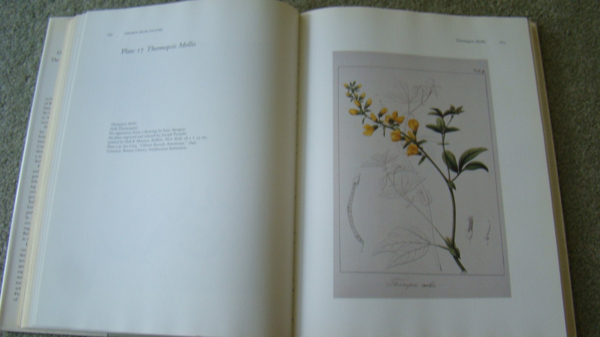 DRAWN FROM NATURE: The Botanical Art of Joseph Prestele and His Sons