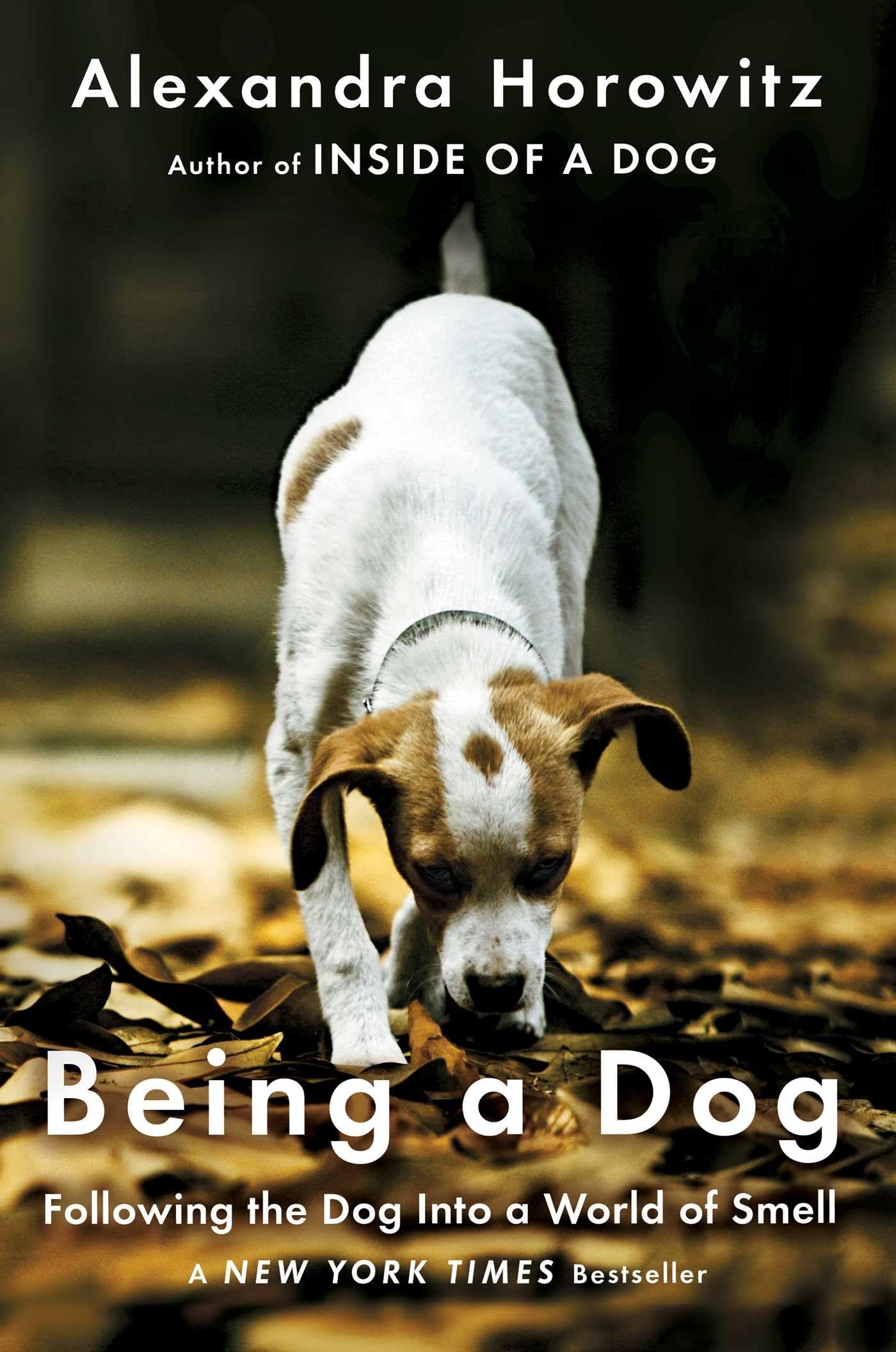 Being a Dog: Following the Dog Into a World of Smell by Horo