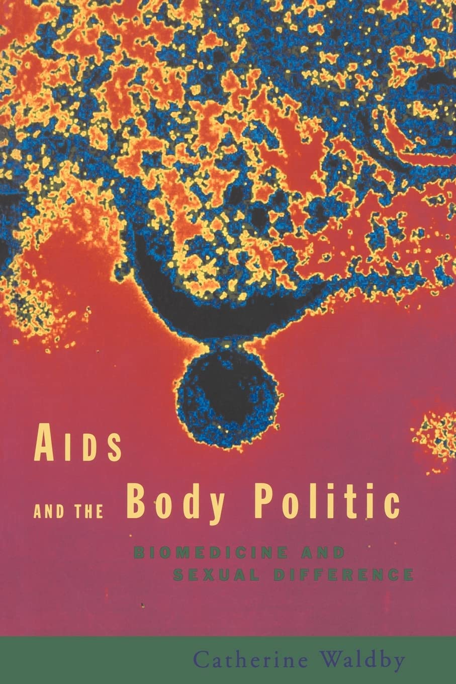 AIDS and the Body Politic: Biomedicine and Sexual Difference (Writing Corporealities (Paperback))