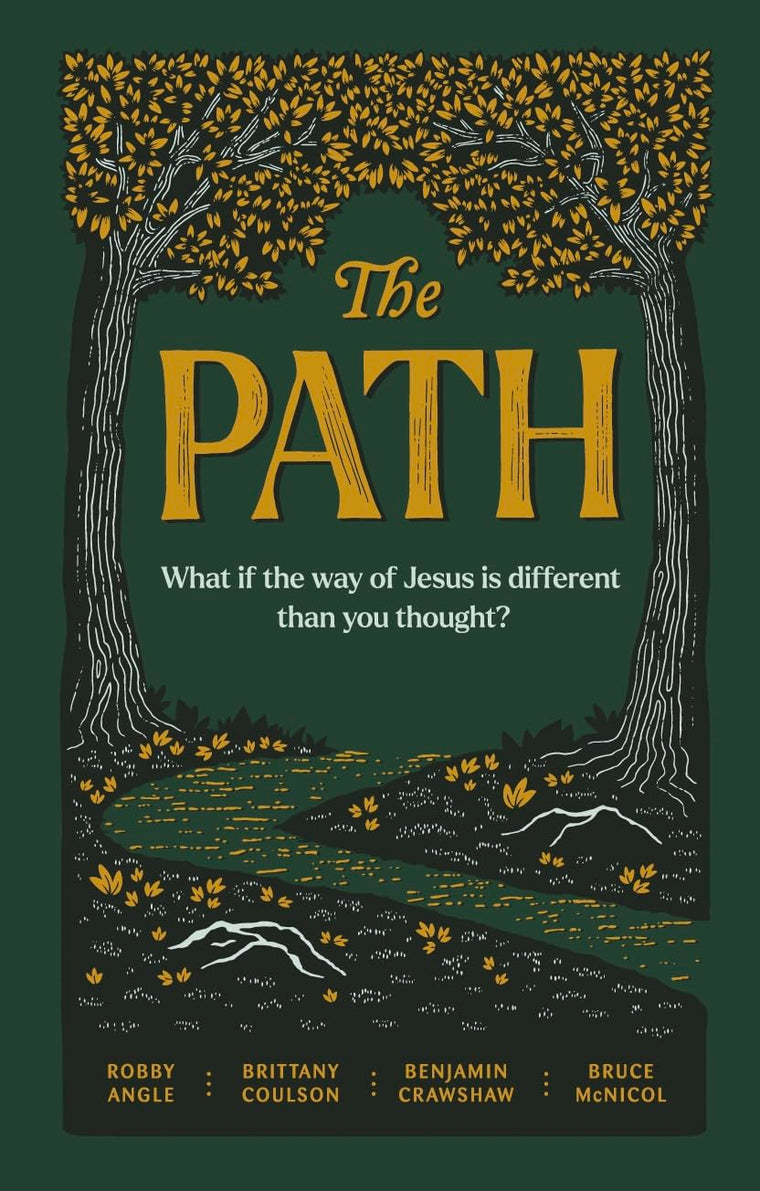 The Path: What if the Way of Jesus is Different than You Thought? (A Contemporary Allegory of Faith, Purpose, and Identity in Todays World)