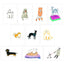 Princeton Architectural Press Dog Box: 100 Postcards by 10 Artists