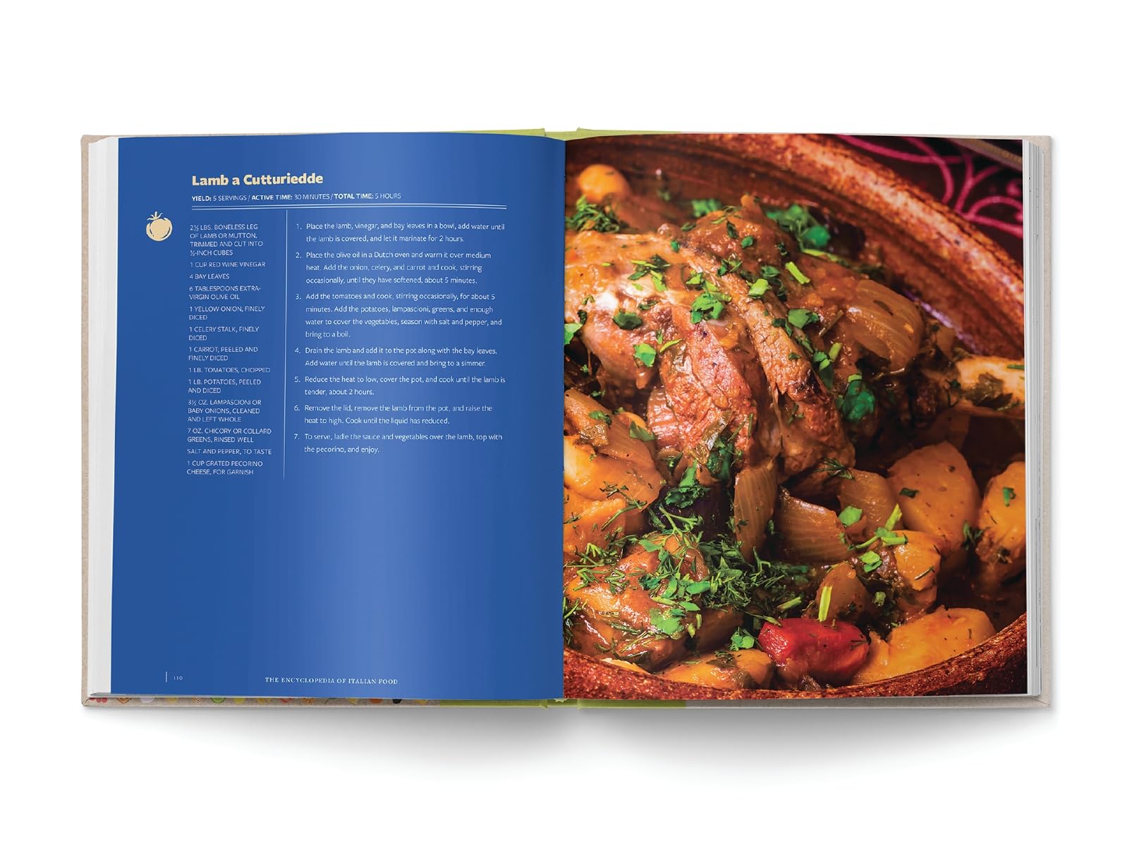 The Encyclopedia of Italian Food: Over 350 Classic Recipes Celebrating Italian Traditions (Encyclopedia Cookbooks)