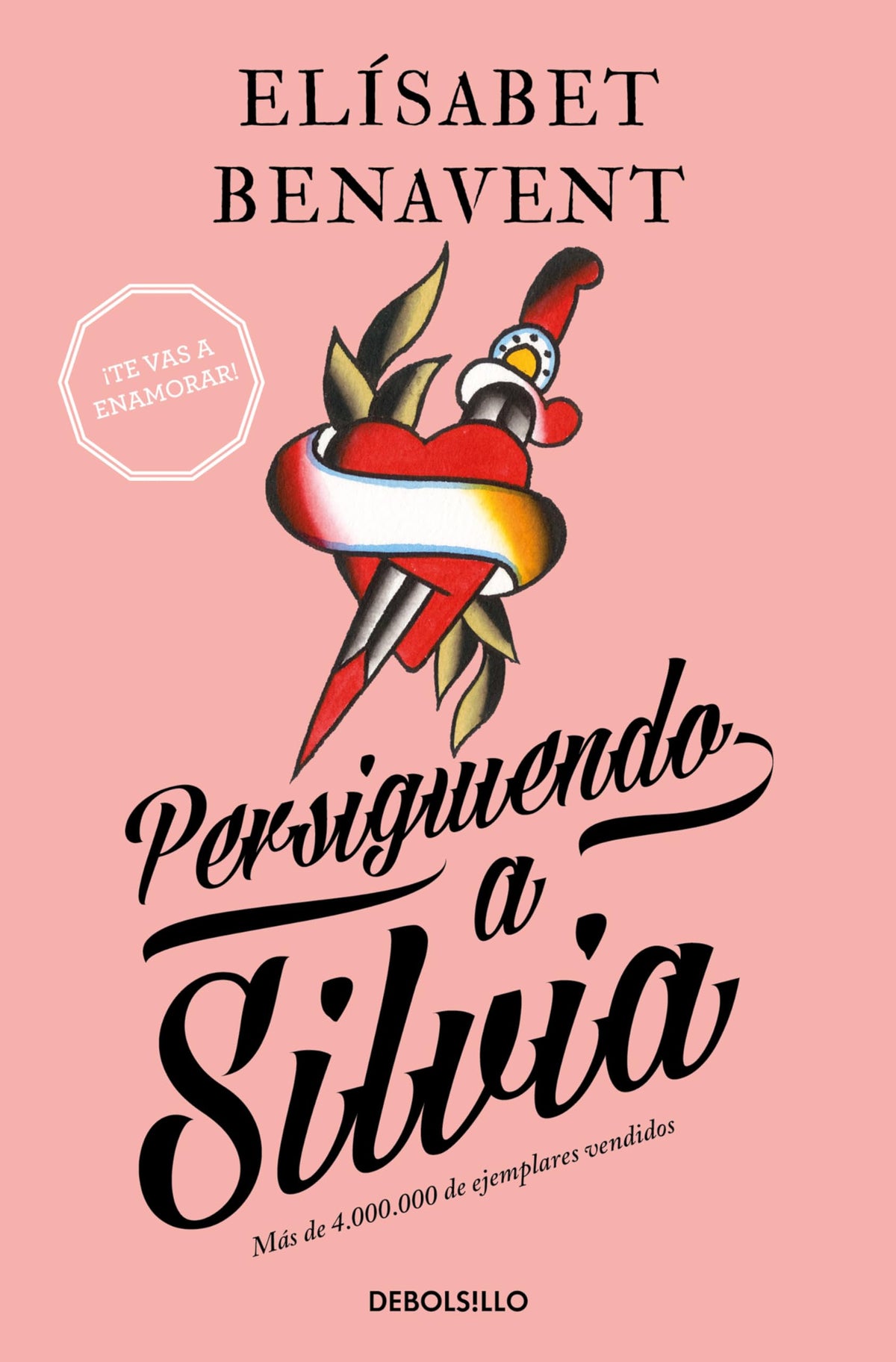Persiguiendo a Silvia / Chasing Silvia (Silvia Serie) (Spanish Edition)