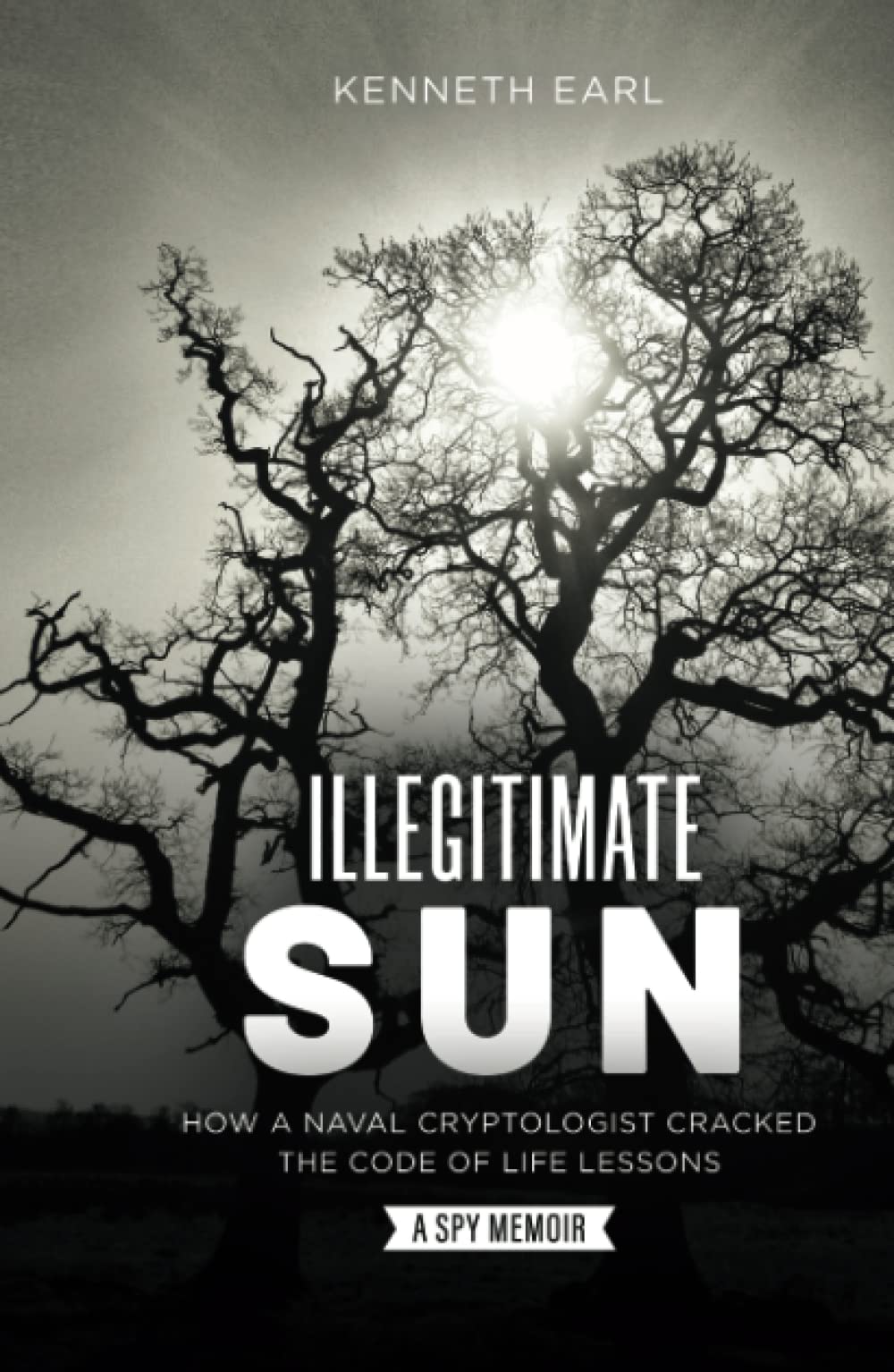 Illegitimate Sun: How a Naval Cryptologist Cracked the Code of Life Lessons