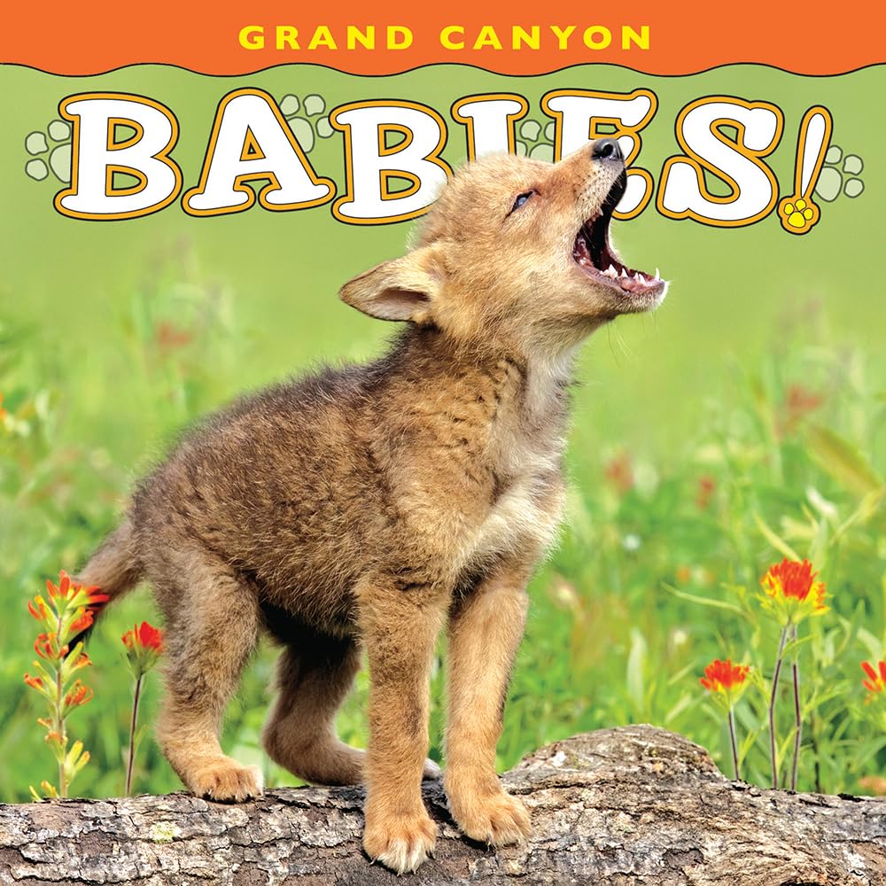 Grand Canyon Babies! (Babies! (Farcountry Press))