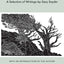 Look Out: A Selection of Writings (New Directions Bibelot)