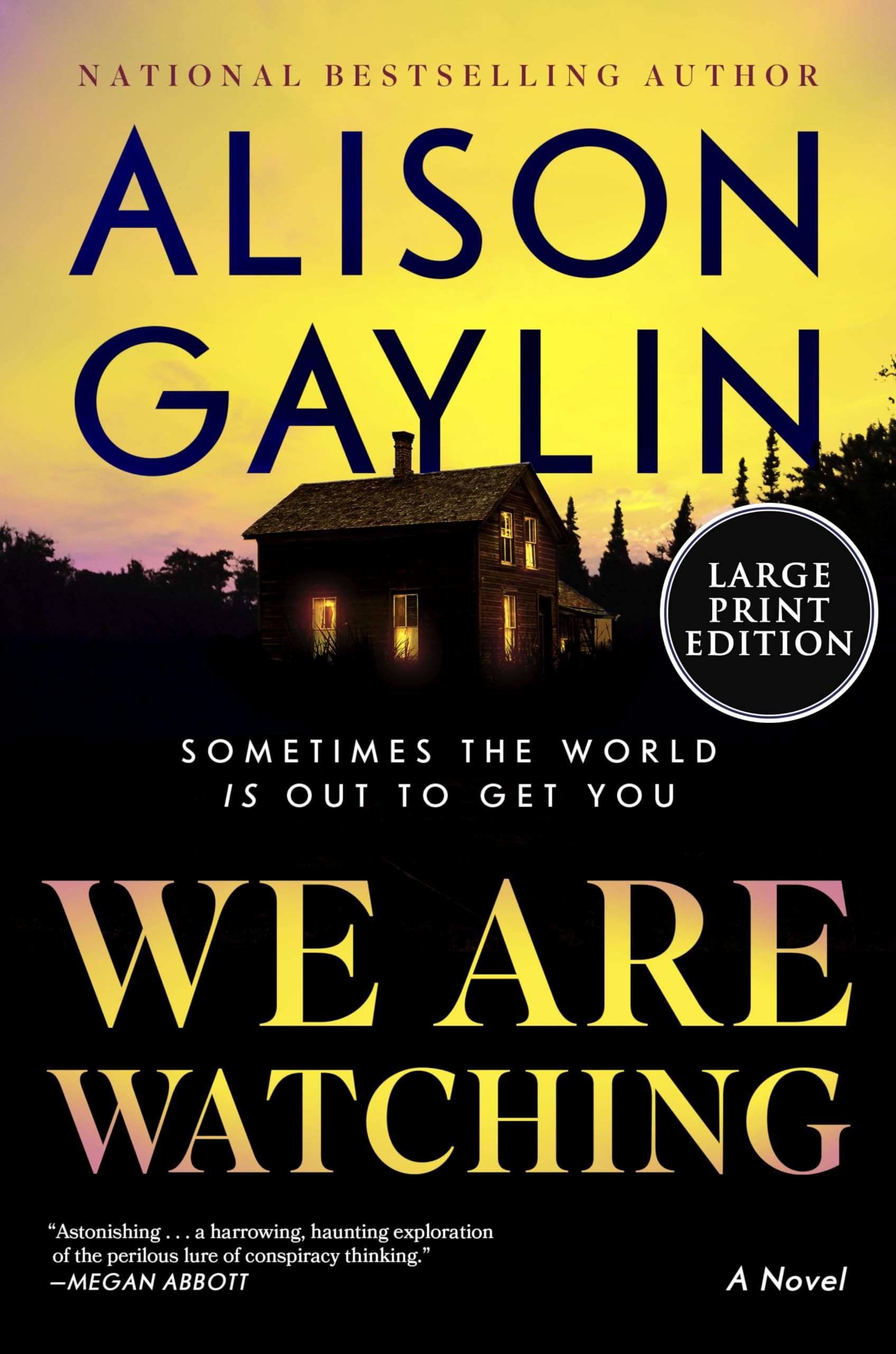 We Are Watching: A Novel