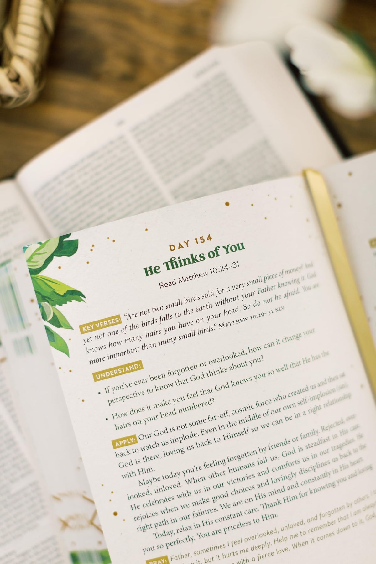 The Daily 5-minute Bible Study for Women: 365 Focused, Encouraging Readings