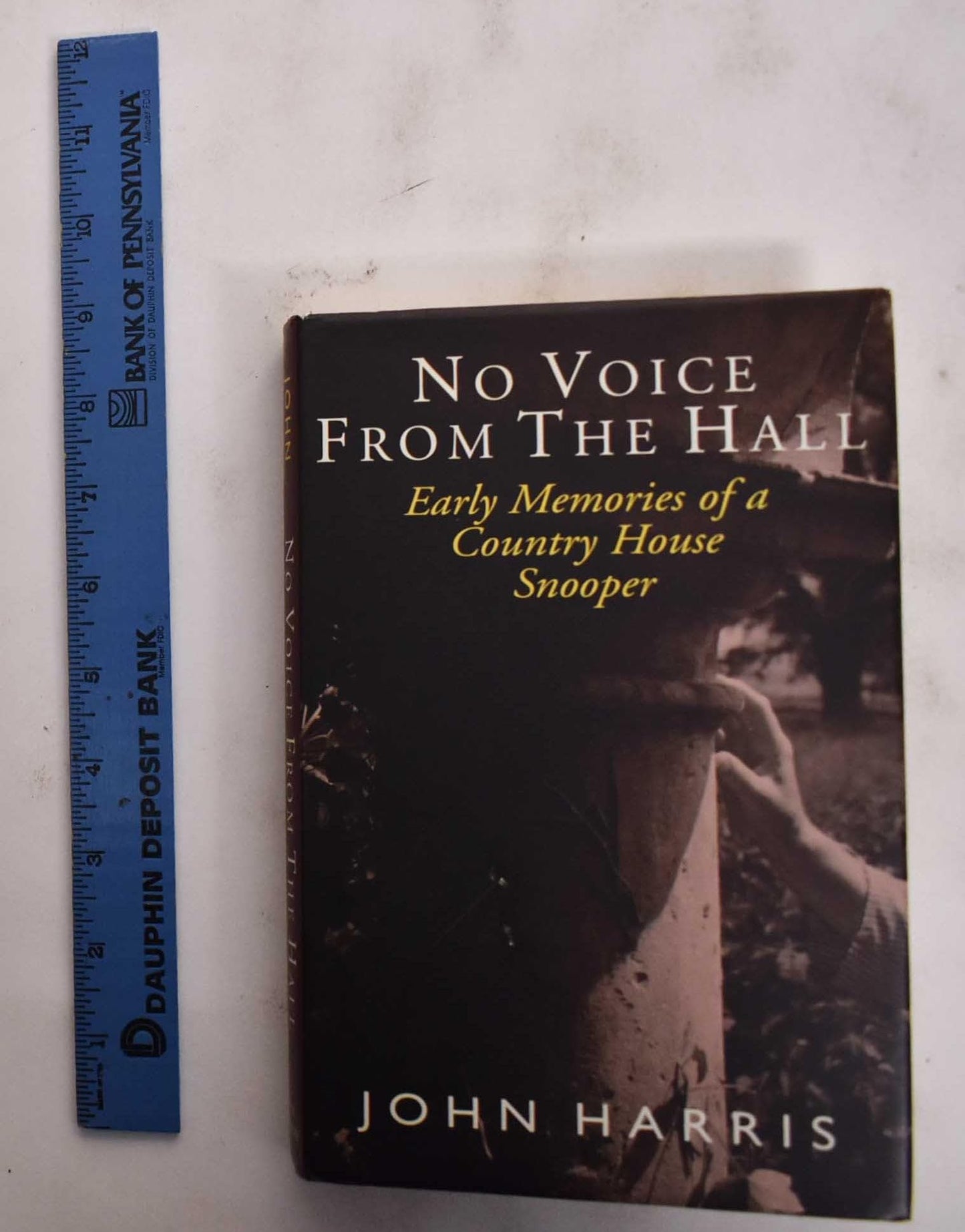 No Voice from the Hall: Early Memories of a Country House Sn