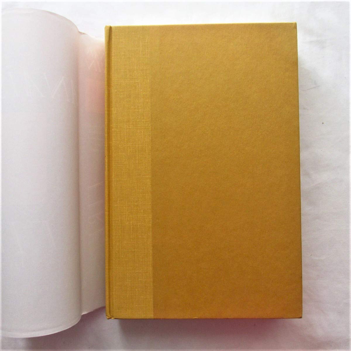 Fire: From "A Journal of Love" The Unexpurgated Diary of Ana